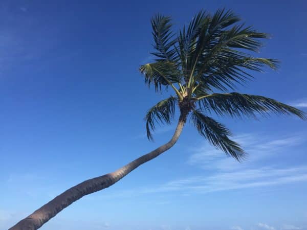 Urlaub ist die schönste Zeit im Jahr! Wir helfen Ihnen dabei, dass Sie medizinisch gut vorbereitet in den Urlaub starten und möglichst gesund und erholt wieder zurückkommen. Wir beraten Sie auch, wenn es um eine Dienstreise geht. Wir sind offizielle Gelbfieberimpfstelle für Nürnberg, Fürth, Erlangen u.a.